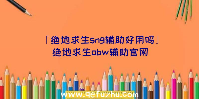 「绝地求生sng辅助好用吗」|绝地求生obw辅助官网